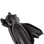 Oceanic Manta Ray Fins