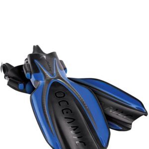 Oceanic Manta Ray Fins