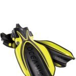 Oceanic Manta Ray Fins